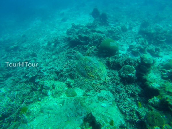 เที่ยวหมู่เกาะสุรินทร์ เที่ยวหมู่เกาะสุรินทร์