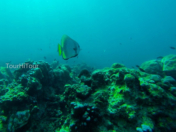 เที่ยวหมู่เกาะสุรินทร์ เที่ยวหมู่เกาะสุรินทร์