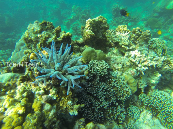 เที่ยวหมู่เกาะสุรินทร์ เที่ยวหมู่เกาะสุรินทร์