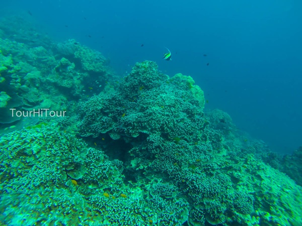 เที่ยวหมู่เกาะสุรินทร์ เที่ยวหมู่เกาะสุรินทร์