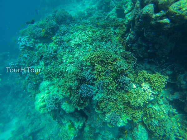 เที่ยวหมู่เกาะสุรินทร์ เที่ยวหมู่เกาะสุรินทร์
