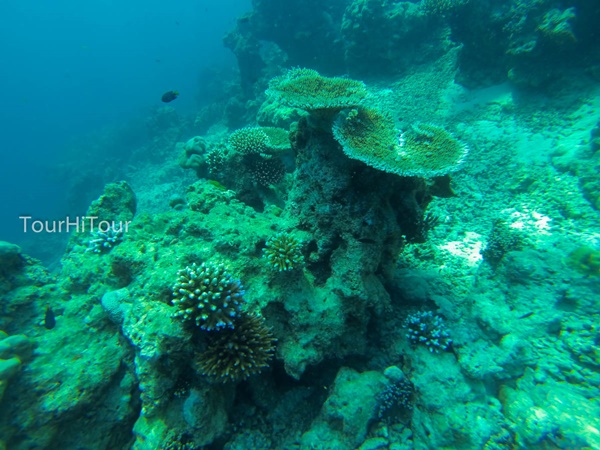 เที่ยวหมู่เกาะสุรินทร์ เที่ยวหมู่เกาะสุรินทร์