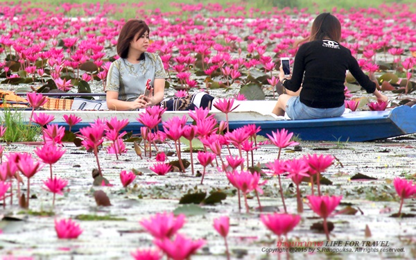 อันซีนอีสาน อันซีนอีสาน