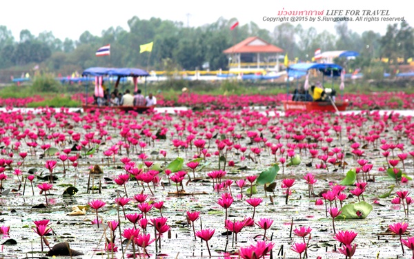 อันซีนอีสาน อันซีนอีสาน