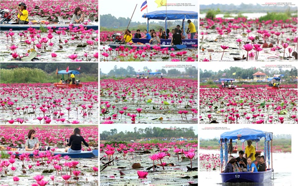 อันซีนอีสาน อันซีนอีสาน
