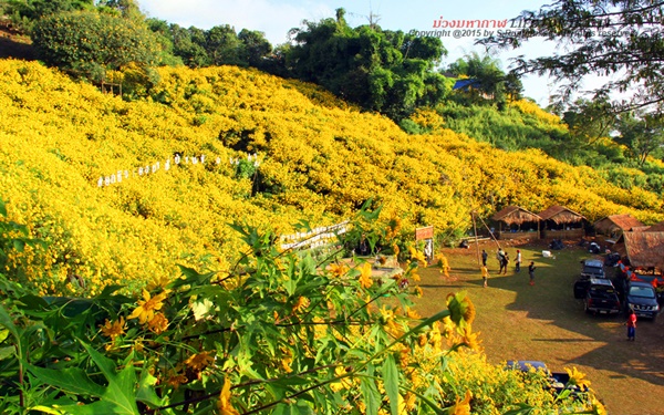 ที่นี่เมืองไทย ที่นี่เมืองไทย