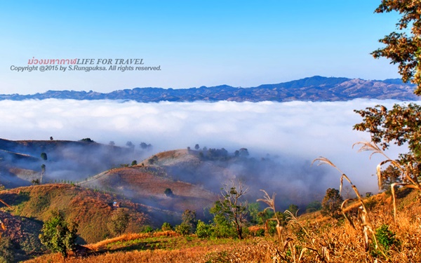 ที่นี่เมืองไทย ที่นี่เมืองไทย