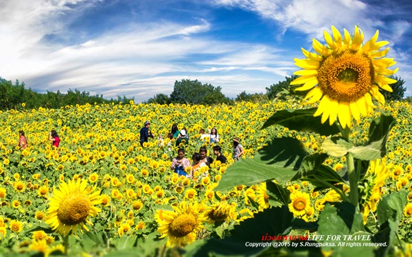 ที่นี่เมืองไทย ที่นี่เมืองไทย