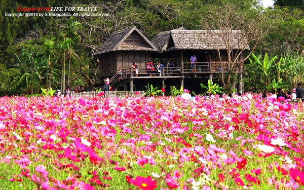 ที่นี่เมืองไทย ที่นี่เมืองไทย