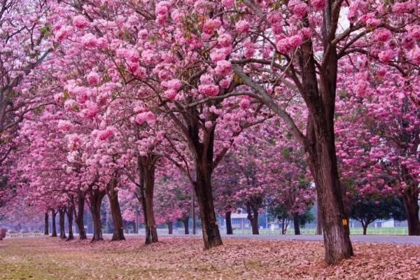 ที่เที่ยวหน้าหนาวนอนนับดาวในเดือนพฤศจิกายน ที่เที่ยวหน้าหนาวนอนนับดาวในเดือนพฤศจิกายน
