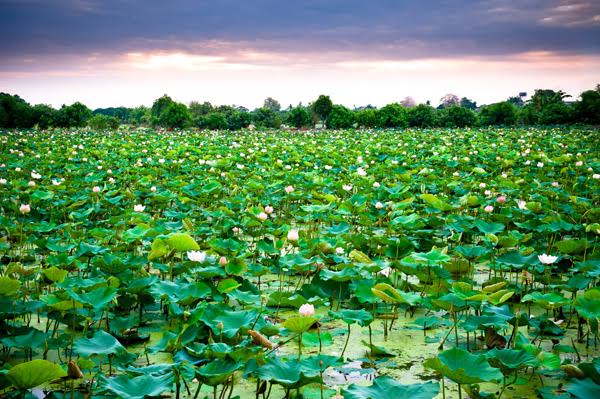 ที่เที่ยวหน้าหนาวนอนนับดาวในเดือนพฤศจิกายน ที่เที่ยวหน้าหนาวนอนนับดาวในเดือนพฤศจิกายน