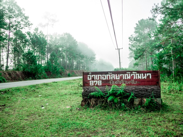 ป่าสนวัดจันทร์ ป่าสนวัดจันทร์