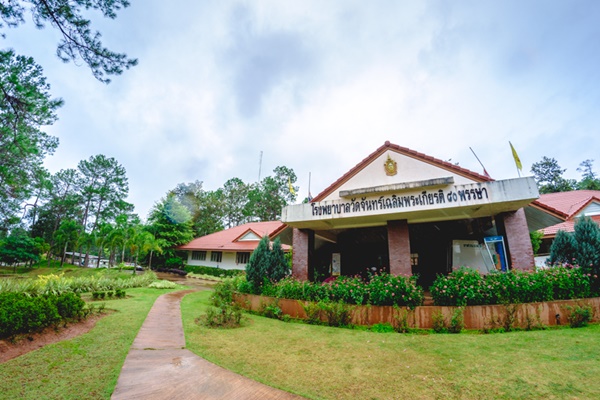 ป่าสนวัดจันทร์ ป่าสนวัดจันทร์