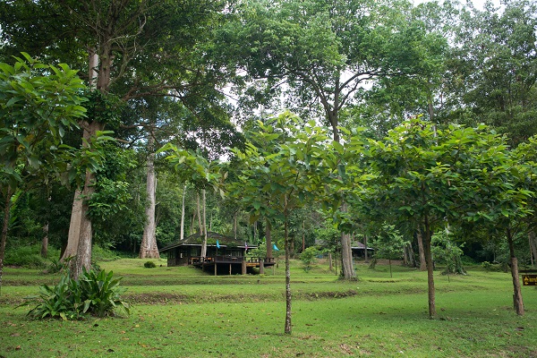 สถานที่ท่องเที่ยวสุโขทัยและกำแพงเพชร สถานที่ท่องเที่ยวสุโขทัยและกำแพงเพชร