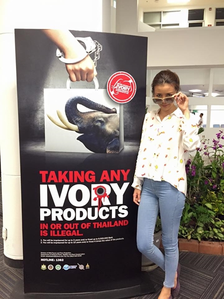 ดาราจิตอาสา ดาราจิตอาสา