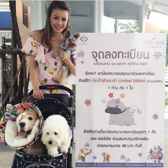 ดาราจิตอาสา ดาราจิตอาสา