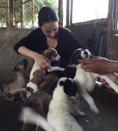 ดาราจิตอาสา ดาราจิตอาสา