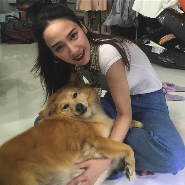 ดาราจิตอาสา ดาราจิตอาสา