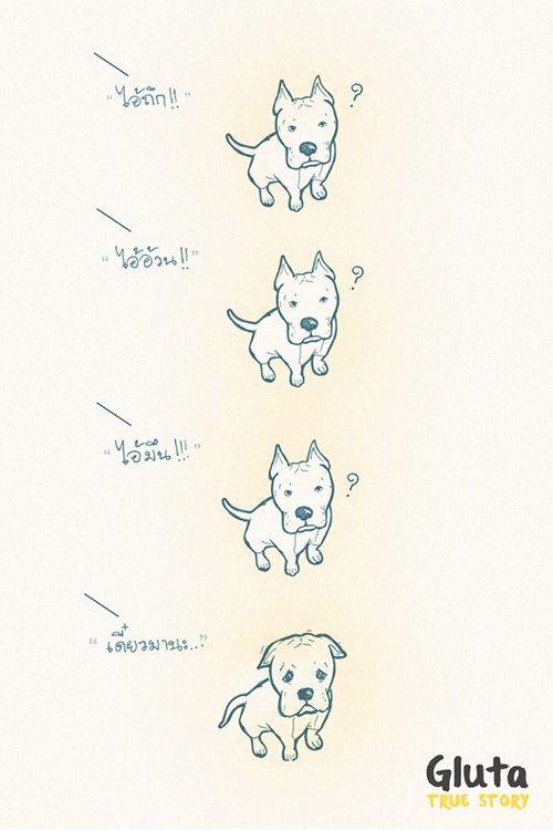 การ์ตูนสี่ขาจากเรื่องจริงของ สุนัข ที่จะทำให้คุณรักเขา..มากขึ้นอีก การ์ตูนสี่ขาจากเรื่องจริงของ สุนัข ที่จะทำให้คุณรักเขา..มากขึ้นอีก