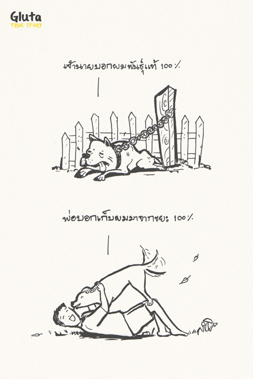 การ์ตูนสี่ขาจากเรื่องจริงของ สุนัข ที่จะทำให้คุณรักเขา..มากขึ้นอีก การ์ตูนสี่ขาจากเรื่องจริงของ สุนัข ที่จะทำให้คุณรักเขา..มากขึ้นอีก