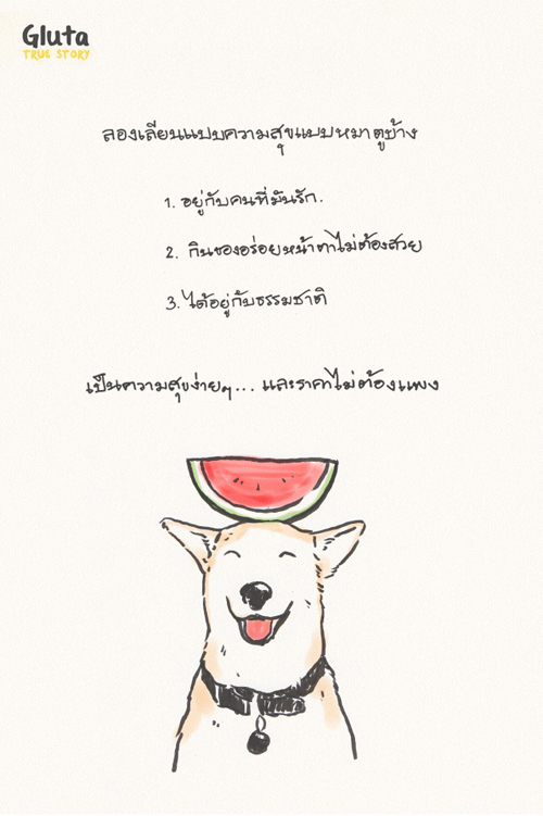 การ์ตูนสี่ขาจากเรื่องจริงของ สุนัข ที่จะทำให้คุณรักเขา..มากขึ้นอีก การ์ตูนสี่ขาจากเรื่องจริงของ สุนัข ที่จะทำให้คุณรักเขา..มากขึ้นอีก