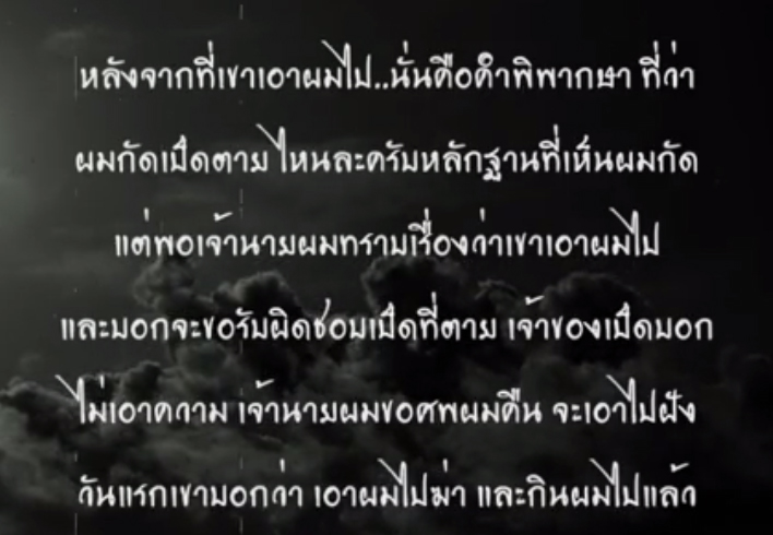 โจโก้ สุนัขไซบีเรียน โจโก้ สุนัขไซบีเรียน