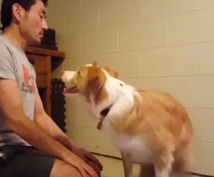 น่ารักที่สุด เจ้าตูบ-คนหันหน้าไหว้กัน นิ่งงันนานเชียวนะ น่ารักที่สุด เจ้าตูบ-คนหันหน้าไหว้กัน นิ่งงันนานเชียวนะ