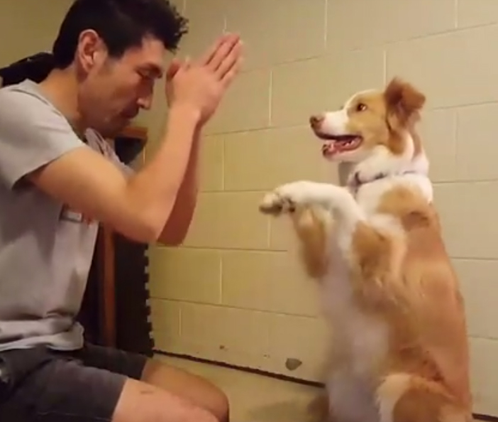 น่ารักที่สุด เจ้าตูบ-คนหันหน้าไหว้กัน นิ่งงันนานเชียวนะ น่ารักที่สุด เจ้าตูบ-คนหันหน้าไหว้กัน นิ่งงันนานเชียวนะ