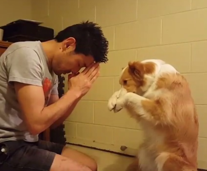 น่ารักที่สุด เจ้าตูบ-คนหันหน้าไหว้กัน นิ่งงันนานเชียวนะ น่ารักที่สุด เจ้าตูบ-คนหันหน้าไหว้กัน นิ่งงันนานเชียวนะ