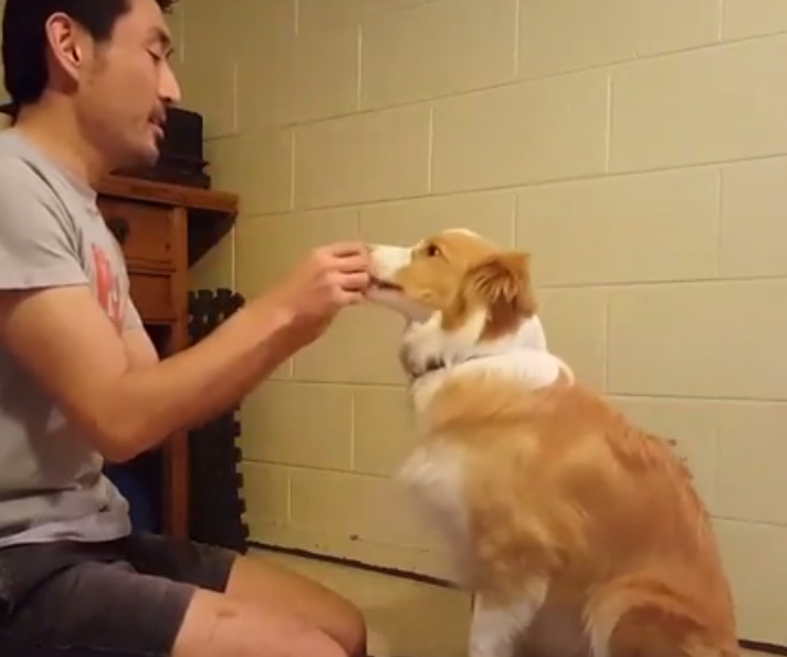 น่ารักที่สุด เจ้าตูบ-คนหันหน้าไหว้กัน นิ่งงันนานเชียวนะ น่ารักที่สุด เจ้าตูบ-คนหันหน้าไหว้กัน นิ่งงันนานเชียวนะ