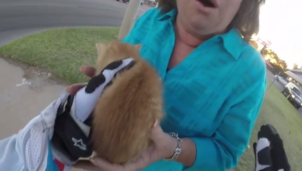 สาวขับบิ๊กไบค์จอดรถกลางแยก ช่วยแมวน้อยพ้นรถเหยียบ สาวขับบิ๊กไบค์จอดรถกลางแยก ช่วยแมวน้อยพ้นรถเหยียบ