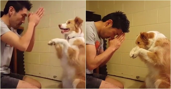 น่ารักที่สุด เจ้าตูบ-คนหันหน้าไหว้กัน นิ่งงันนานเชียวนะ น่ารักที่สุด เจ้าตูบ-คนหันหน้าไหว้กัน นิ่งงันนานเชียวนะ