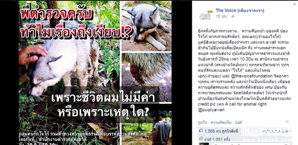 คดีโจโก้ คดีโจโก้