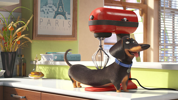Secret Life of Pets เผยความลับเหล่าสัตว์เลี้ยง Secret Life of Pets เผยความลับเหล่าสัตว์เลี้ยง