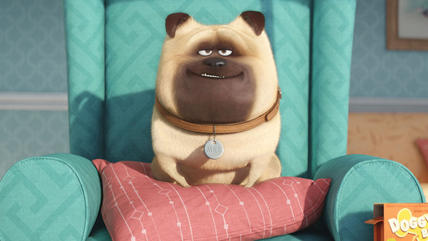 Secret Life of Pets เผยความลับเหล่าสัตว์เลี้ยง Secret Life of Pets เผยความลับเหล่าสัตว์เลี้ยง