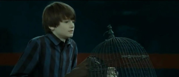 คริส โคลัมบัส เปิดใจ อยากสานต่อเรื่องราว Harry Potter คริส โคลัมบัส เปิดใจ อยากสานต่อเรื่องราว Harry Potter