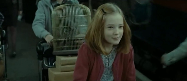 คริส โคลัมบัส เปิดใจ อยากสานต่อเรื่องราว Harry Potter คริส โคลัมบัส เปิดใจ อยากสานต่อเรื่องราว Harry Potter