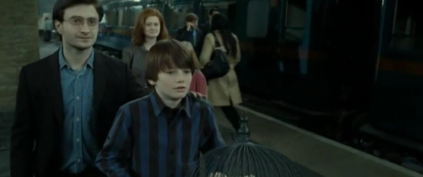คริส โคลัมบัส เปิดใจ อยากสานต่อเรื่องราว Harry Potter คริส โคลัมบัส เปิดใจ อยากสานต่อเรื่องราว Harry Potter