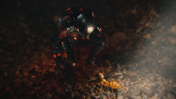 10 เรื่องน่ารู้ พอล รัดด์ พระเอก Ant-Man 10 เรื่องน่ารู้ พอล รัดด์ พระเอก Ant-Man