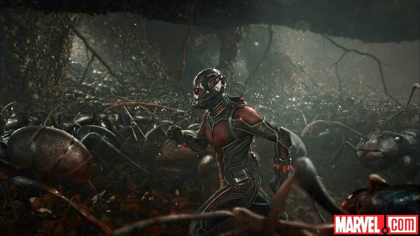 10 เรื่องน่ารู้ พอล รัดด์ พระเอก Ant-Man 10 เรื่องน่ารู้ พอล รัดด์ พระเอก Ant-Man