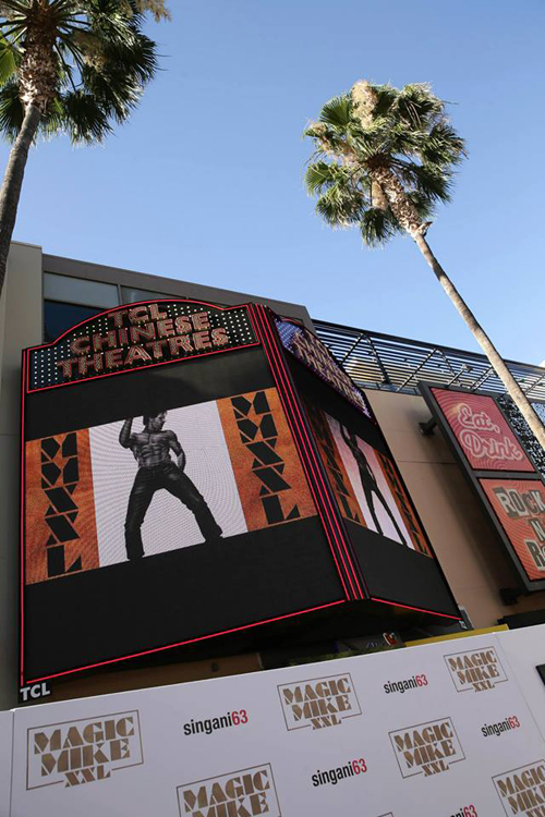 แชนนิ่ง ทาทัม ยกพลหนุ่มเปลื้องผ้า เปิดตัว Magic Mike XXL