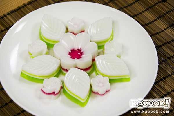วุ้นกะทิ วุ้นกะทิ
