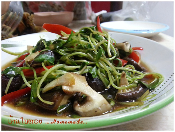 9 เมนูต้นอ่อนทานตะวัน 9 เมนูต้นอ่อนทานตะวัน