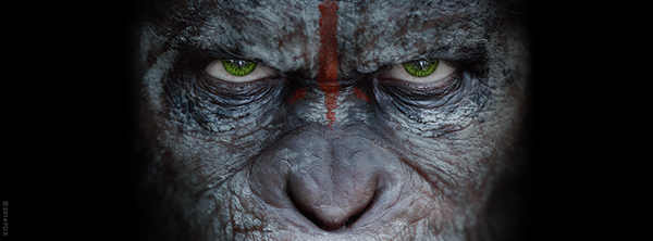 กาเบรียล ชาวาร์เรีย คว้าบทผู้นำฝ่ายมนุษย์ War of the Planet of the Apes กาเบรียล ชาวาร์เรีย คว้าบทผู้นำฝ่ายมนุษย์ War of the Planet of the Apes