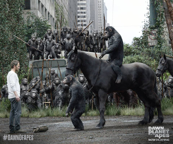 กาเบรียล ชาวาร์เรีย คว้าบทผู้นำฝ่ายมนุษย์ War of the Planet of the Apes กาเบรียล ชาวาร์เรีย คว้าบทผู้นำฝ่ายมนุษย์ War of the Planet of the Apes