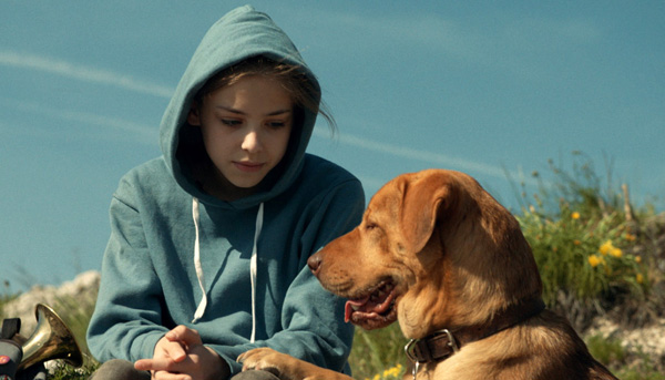 White God หนังมาแรงจากฮังการี เมื่อน้องหมาขอปฏิวัติ White God หนังมาแรงจากฮังการี เมื่อน้องหมาขอปฏิวัติ