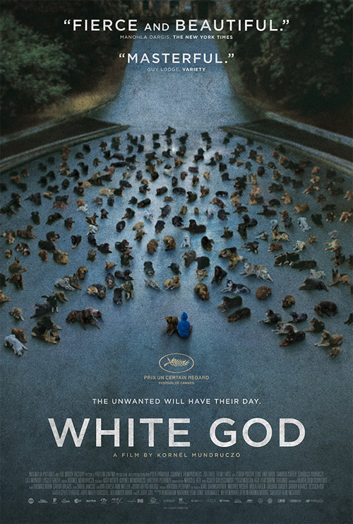 White God หนังมาแรงจากฮังการี เมื่อน้องหมาขอปฏิวัติ White God หนังมาแรงจากฮังการี เมื่อน้องหมาขอปฏิวัติ