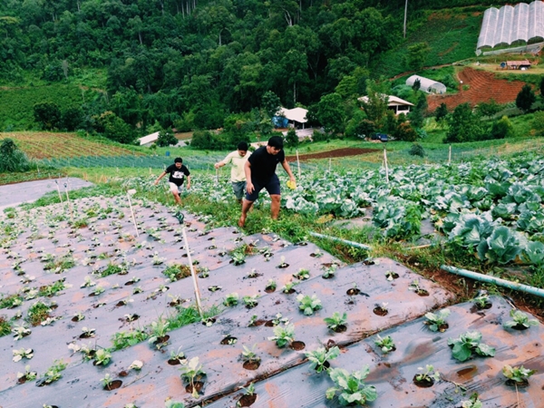 เชียงใหม่ เชียงใหม่