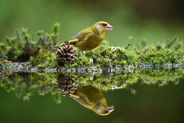 เลนส์ nikon เลนส์ nikon