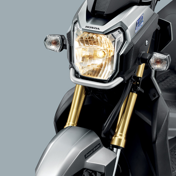 Honda ZOOMER-X 2015 Honda ZOOMER-X 2015